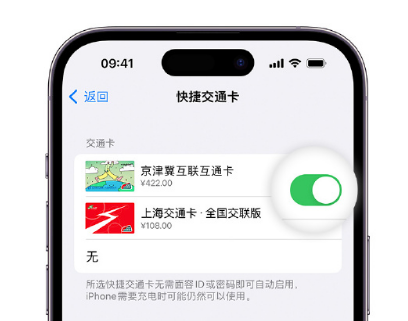 黎川apple维修点分享iPhone上更换Apple Pay快捷交通卡手绘卡面 