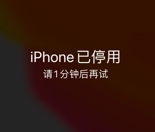 黎川苹果手机维修分享:iPhone 显示“不可用”或“已停用”怎么办？还能保留数据吗？ 