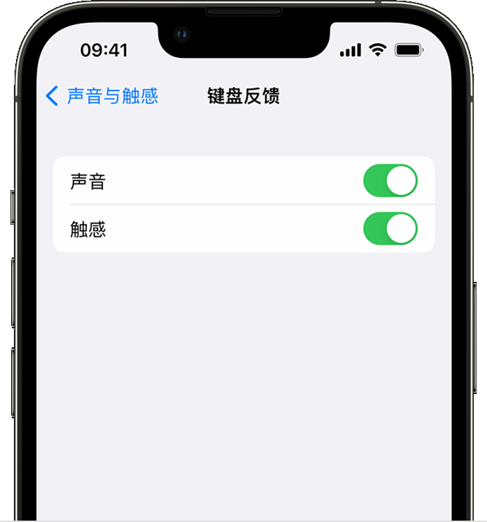 黎川苹果14维修店分享如何在 iPhone 14 机型中使用触感键盘 