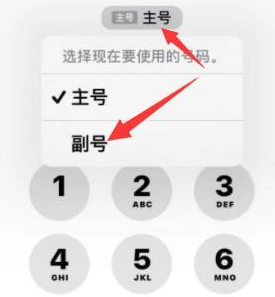 黎川苹果14维修店分享iPhone 14 Pro Max使用副卡打电话的方法 