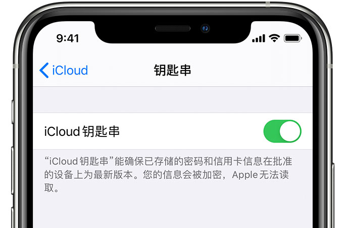 黎川苹果手机维修分享在 iPhone 上开启 iCloud 钥匙串之后会储存哪些信息 